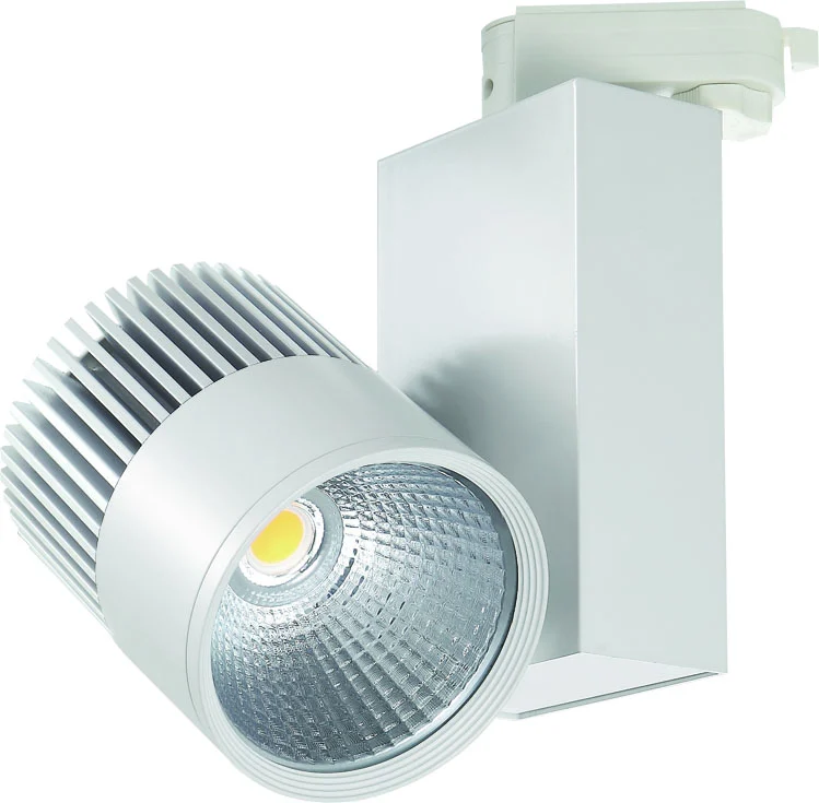 Railspot wit D 10cm L 12cm 30W 3000K 38 graden